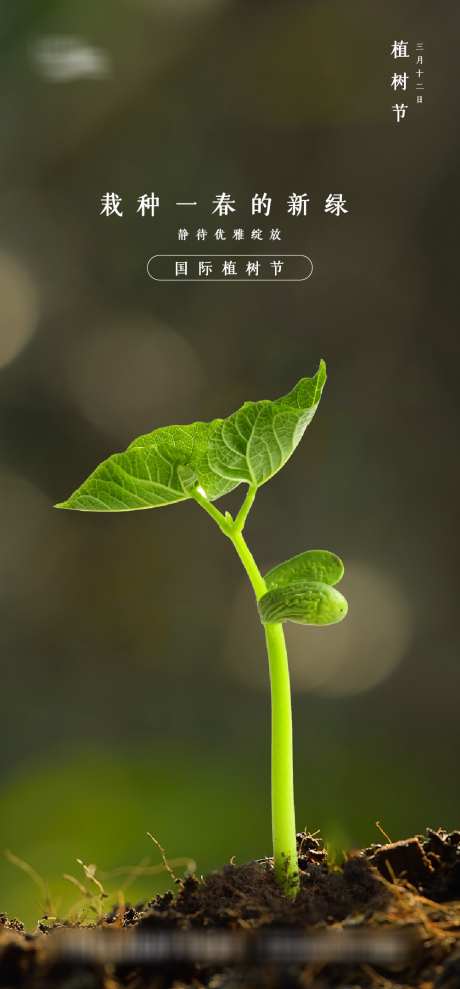 植树节节日移动端海报_源文件下载_AI格式_1002X2155像素-特写,实景,树苗,植树节,房地产,海报-作品编号:2023092713534040-志设-zs9.com