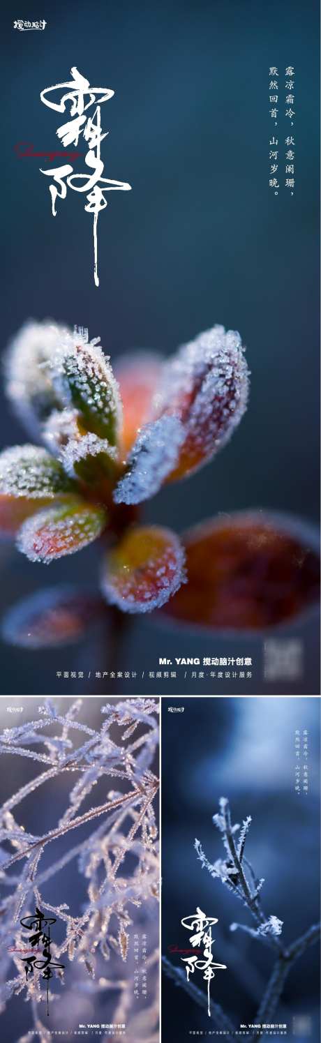 霜降节气系列海报_源文件下载_PSD格式_1169X3800像素-冰霜,节气,品牌,海报,地产,霜降,特写,实景-作品编号:2023101318072317-志设-zs9.com