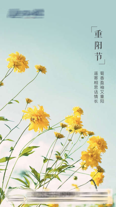 重阳节节日移动端海报_源文件下载_PSD格式_1080X1920像素-房地产,重阳节,中国传统节日,菊花,海报-作品编号:2021101510306215-素材库-www.sucai1.cn