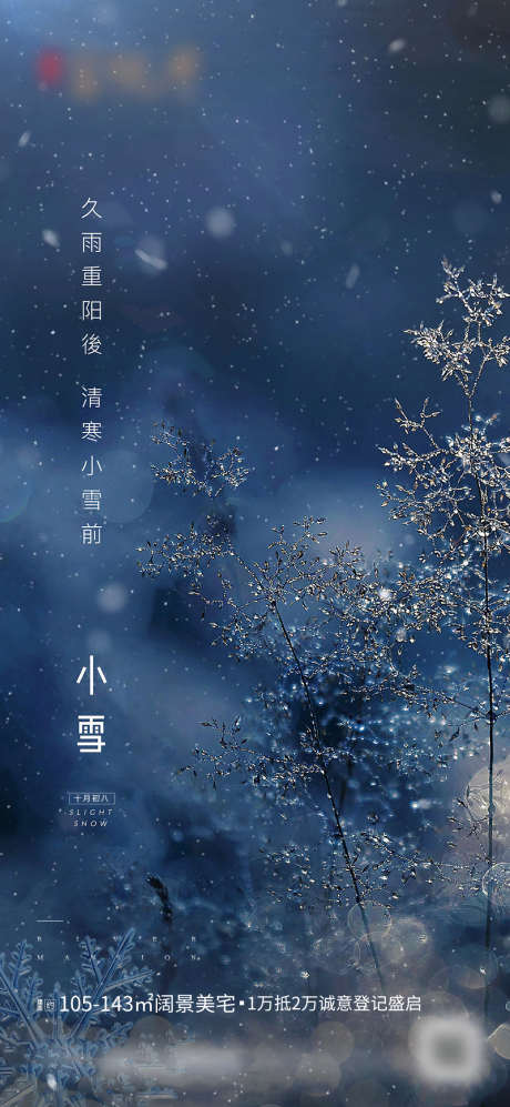 小雪节气移动端海报_源文件下载_PSD格式_1080X2340像素-海报,二十四节气,小雪,树枝-作品编号:2021110913529969-素材库-www.sucai1.cn