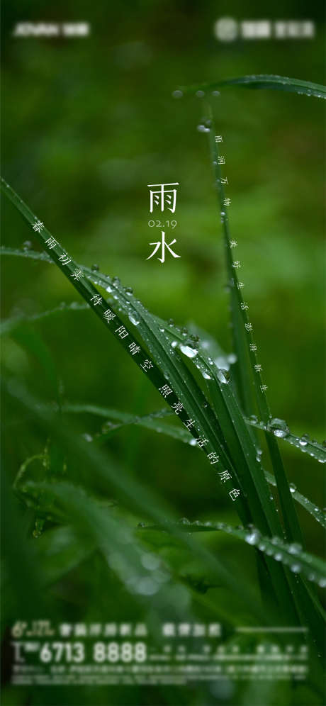 雨水_源文件下载_AI格式_3126X6767像素-海报,二十四节气,雨水-作品编号:2022021208462883-志设-zs9.com