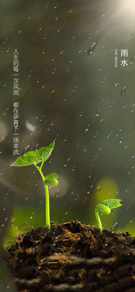 雨水节气海报_源文件下载_PSD格式_1063X2303像素-海报,房地产,雨水,二十四节气,露珠,发芽-作品编号:2022021413458134-素材库-www.sucai1.cn