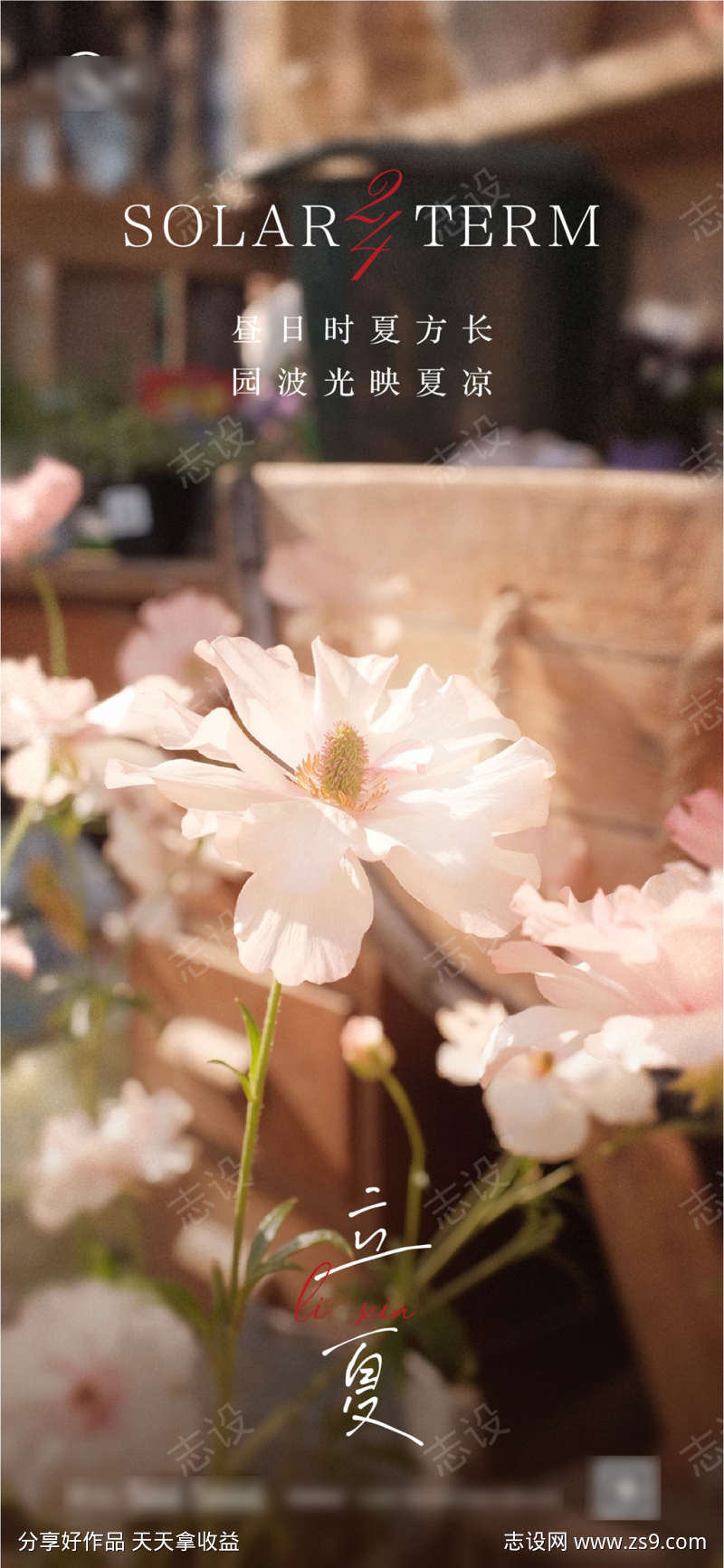 立夏二十四节气系列海报