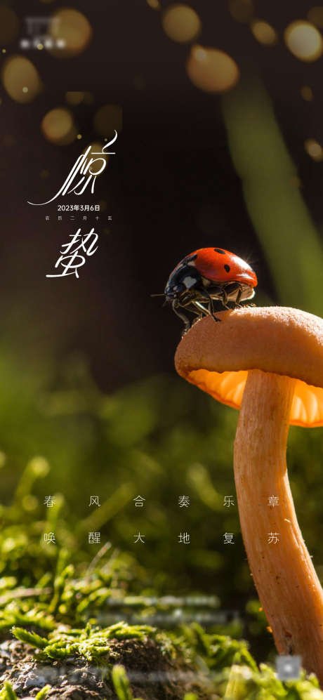 惊蛰节气海报_源文件下载_1169X2533像素-蘑菇,瓢虫,中国传统节日,节气,惊蛰-作品编号:2023030411266274-素材库-www.sucai1.cn