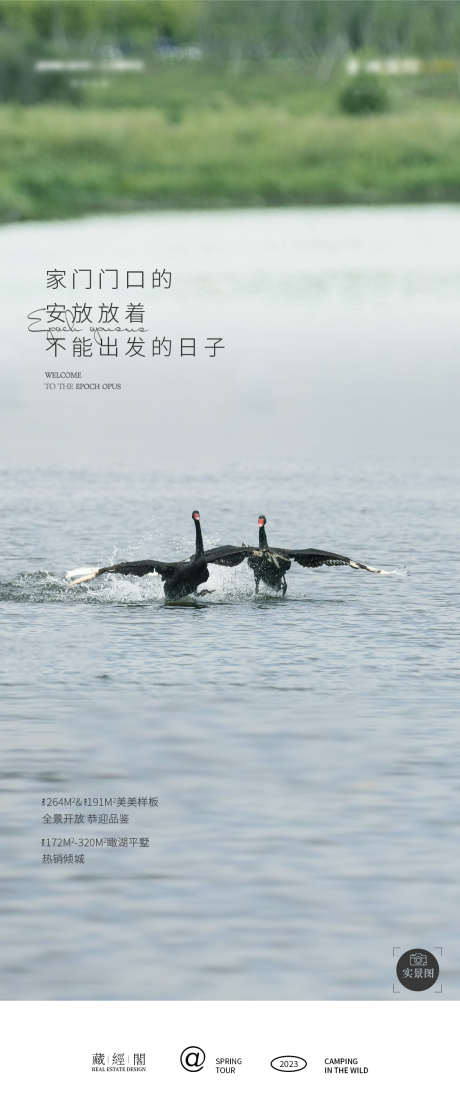 湖岸生活海报_源文件下载_PSD格式_1126X2699像素-爱,湖景,春,相恋,野鸭,湖-作品编号:2023030518475765-志设-zs9.com