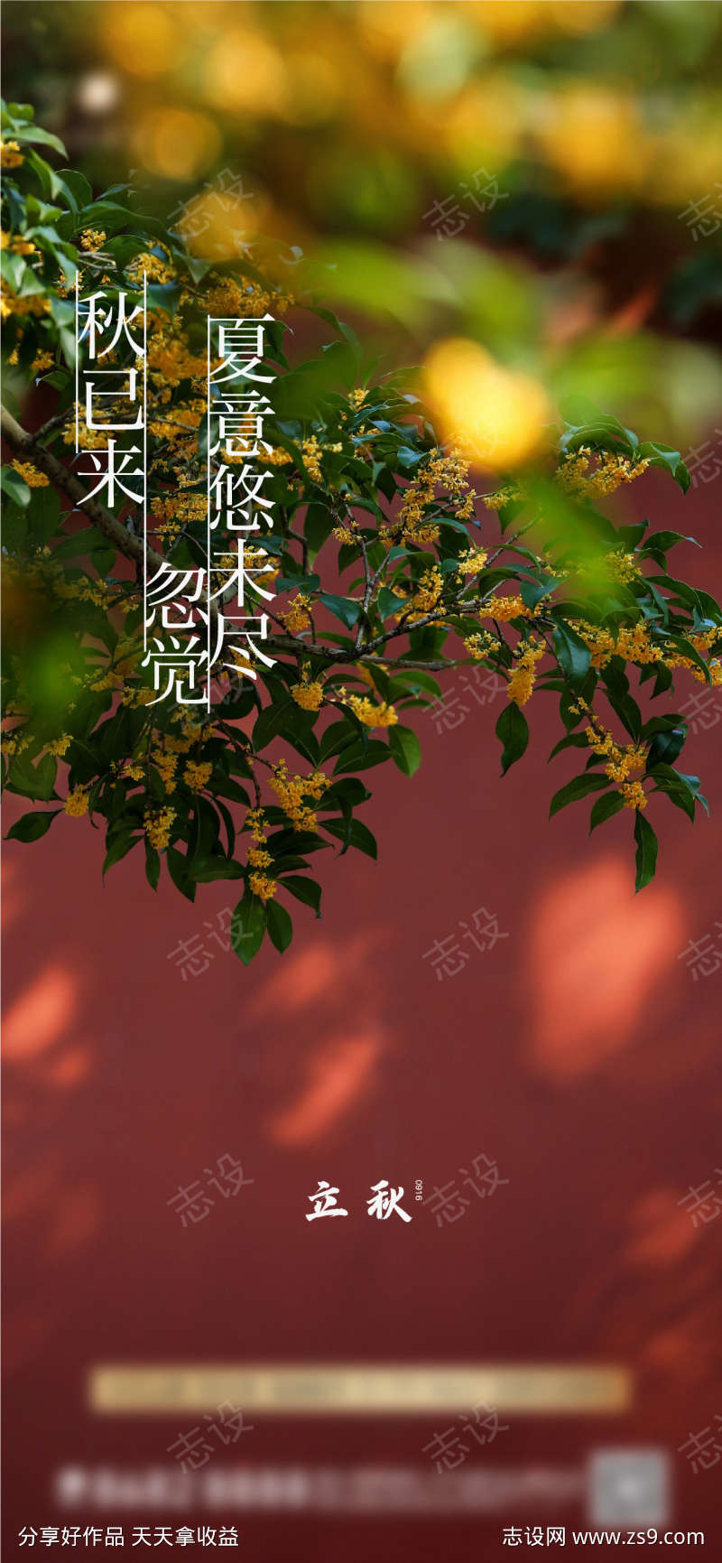 桂花立秋秋分海报