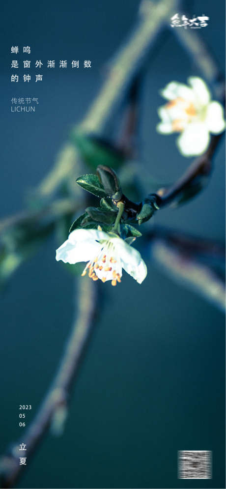 立夏春分花卉24节气海报中国传统节日_源文件下载_PSD格式_1300X2813像素-花卉,中国传统节日,海报,24节气,立夏,春分-作品编号:2023031220551836-志设-zs9.com