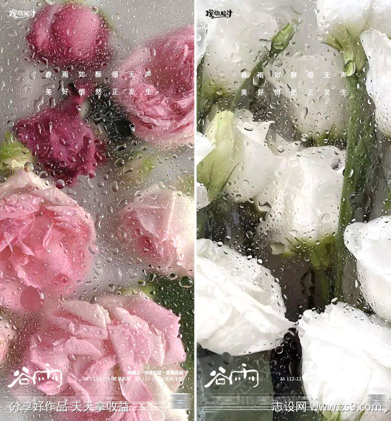 谷雨鲜花海报