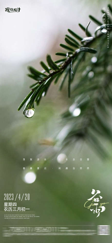 谷雨节气海报_源文件下载_PSD格式_1754X3801像素-摄影,海报,地产,节气,春天,水珠,水滴,雨水,谷雨-作品编号:2023032911069157-素材库-www.sucai1.cn