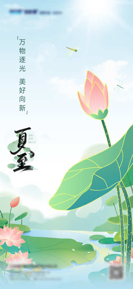 夏至海报_源文件下载_AI格式_2344X5075像素-手绘,夏天,插画,荷叶,荷花,夏至,二十四节气,海报-作品编号:2023062016523308-志设-zs9.com