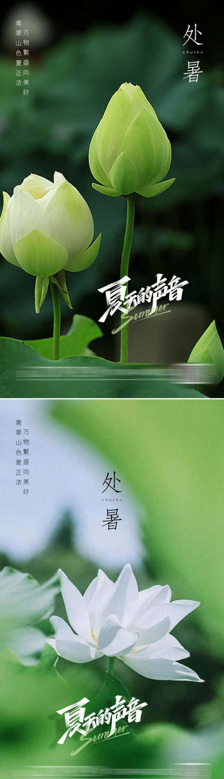 处暑节气海报_源文件下载_PSD格式_1080X3846像素-处暑,节气,海报,夏季,夏日,莲藕,莲花,莲叶,二十四节气,地产-作品编号:2023062111563275-素材库-www.sucai1.cn