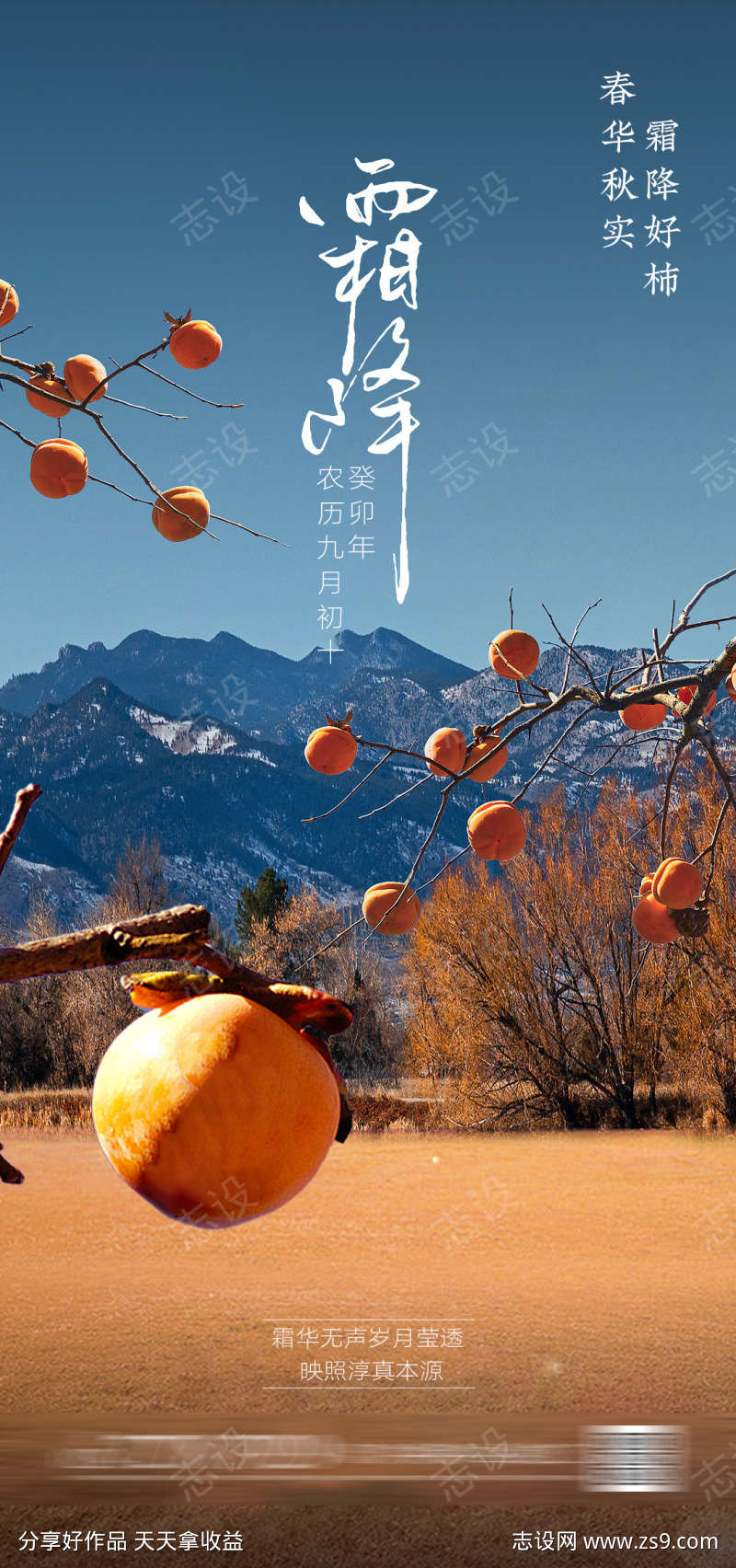 霜降节气海报