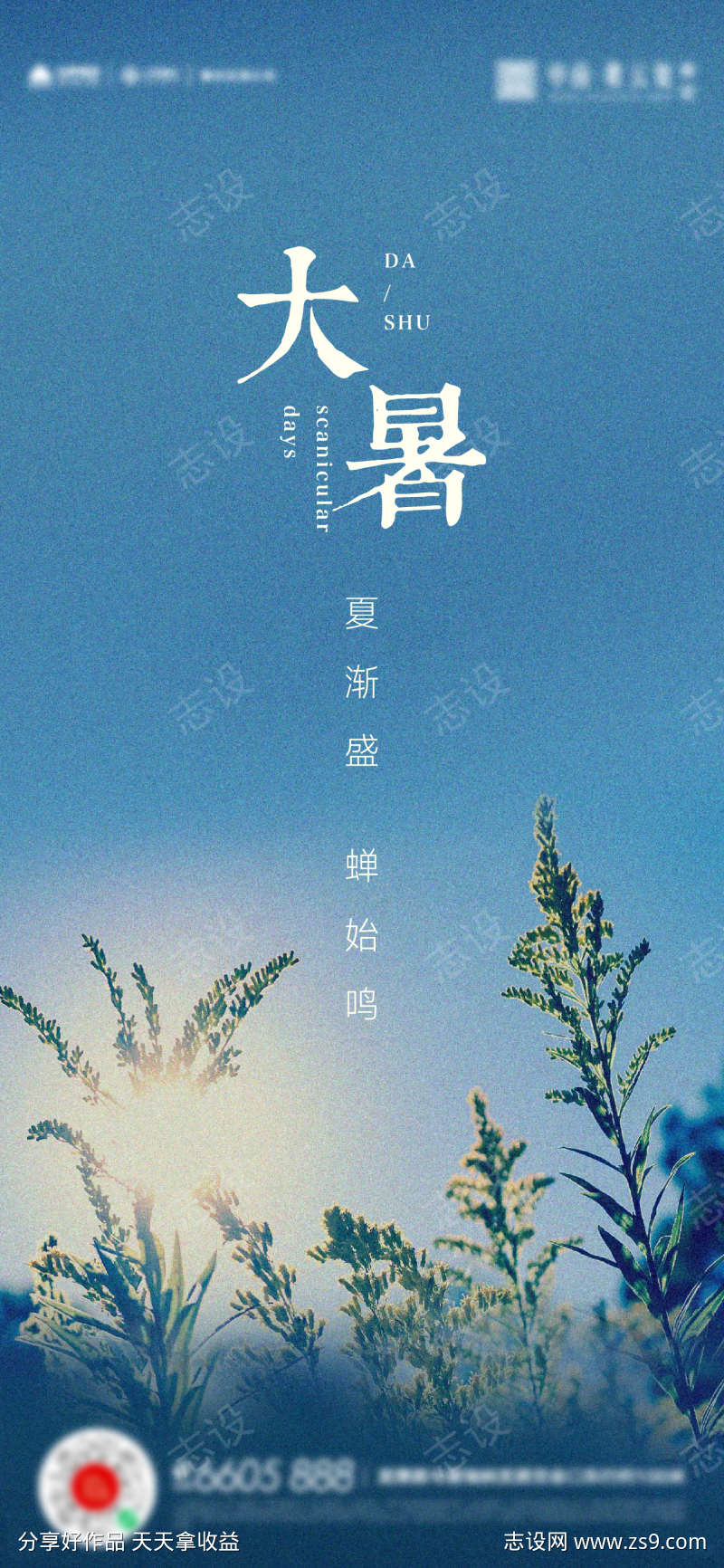 大暑小暑夏至立夏海报