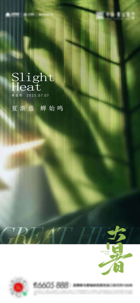 大暑小暑夏至立夏海报_源文件下载_AI格式_1307X2830像素-夏至,立夏,海报,大暑,小暑,叶子-作品编号:2023070200061362-志设-zs9.com