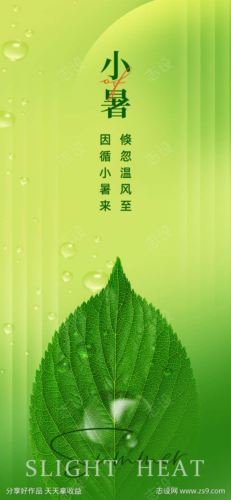 小暑节气