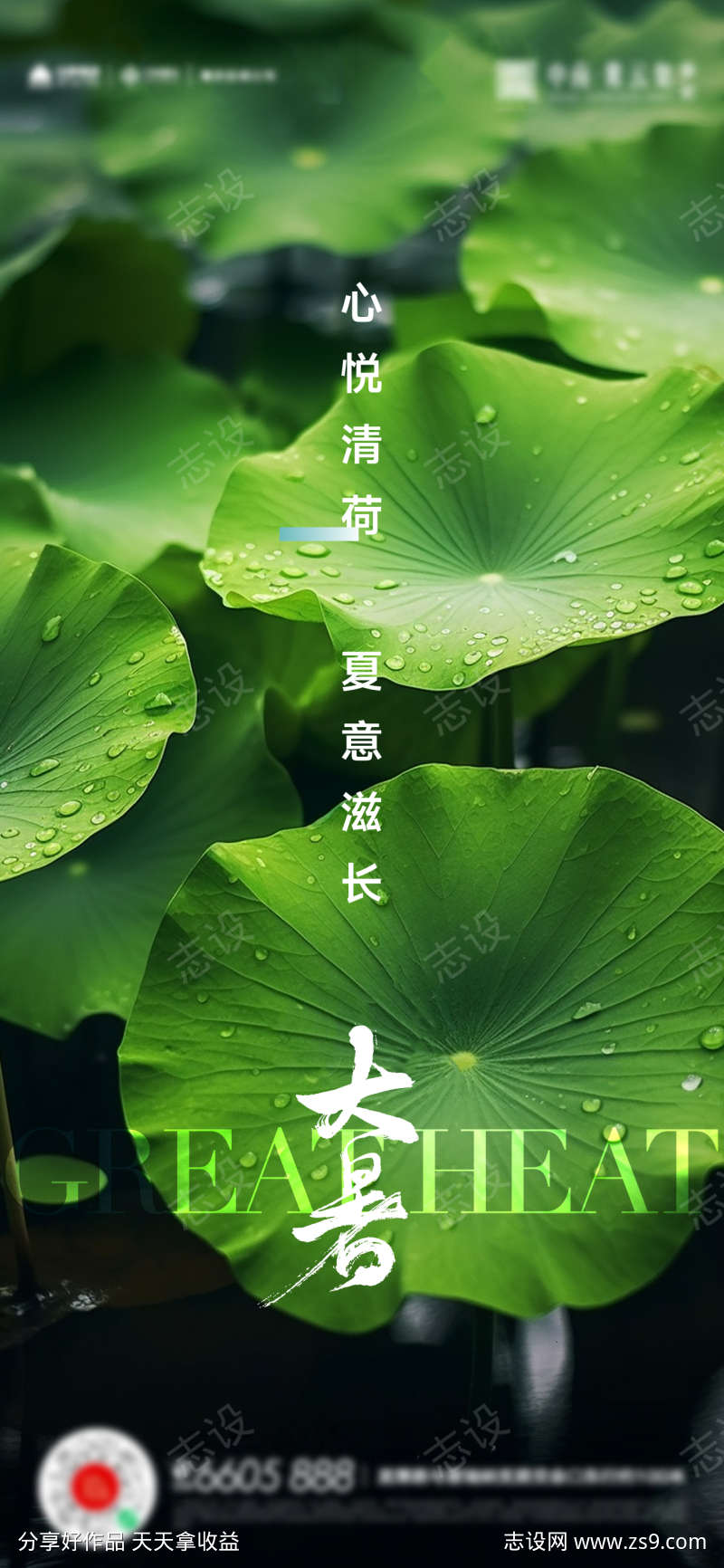 大暑小暑夏至立夏海报