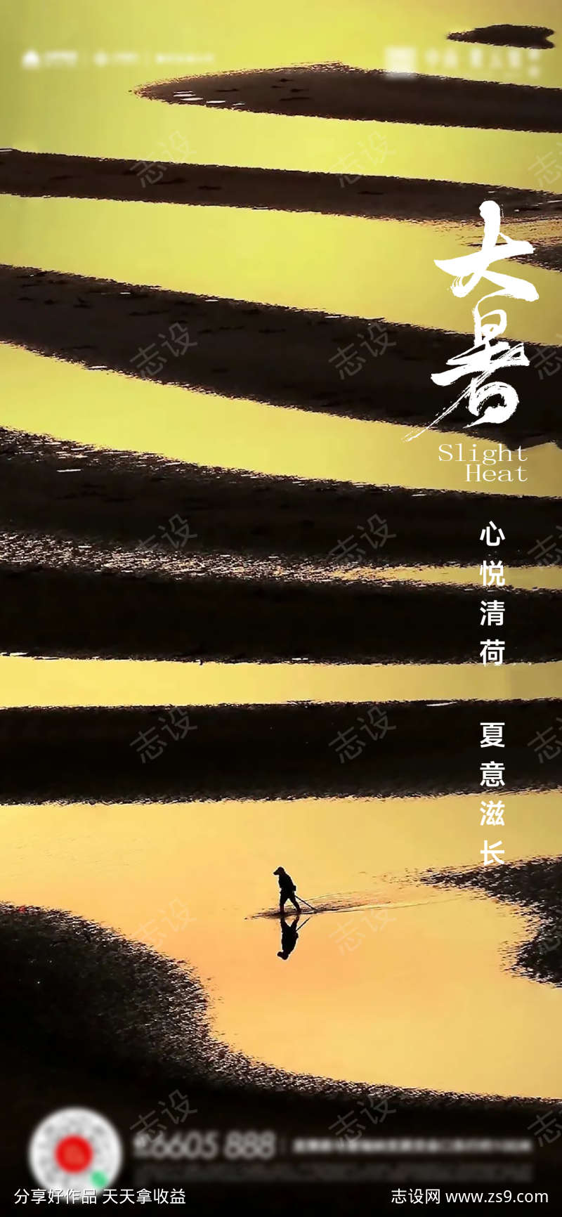 大暑小暑夏至立夏海报