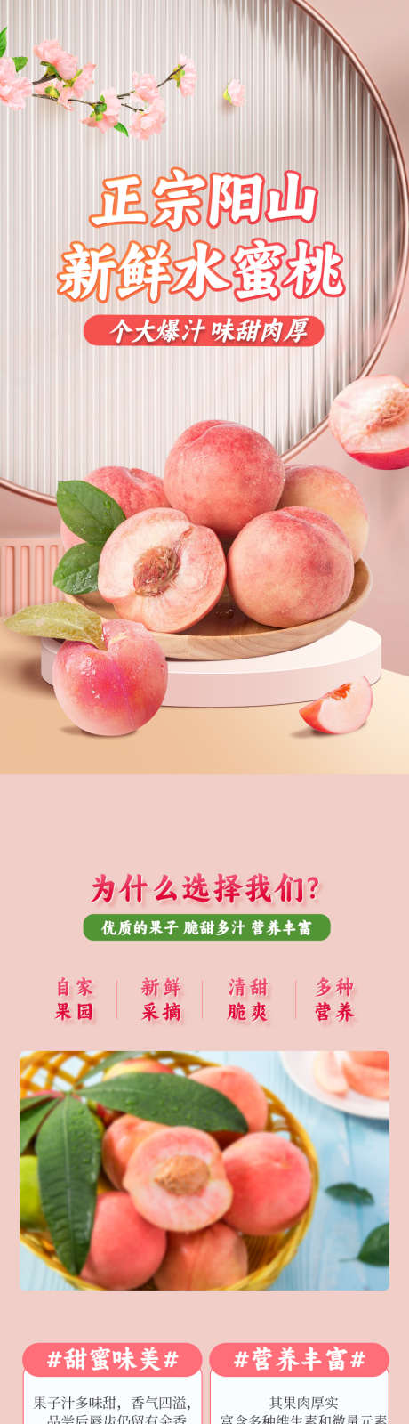 水蜜桃详情页_源文件下载_PSD格式_790X11561像素-产品,水果,电商,详情页,水蜜桃-作品编号:2023072810075019-素材库-www.sucai1.cn