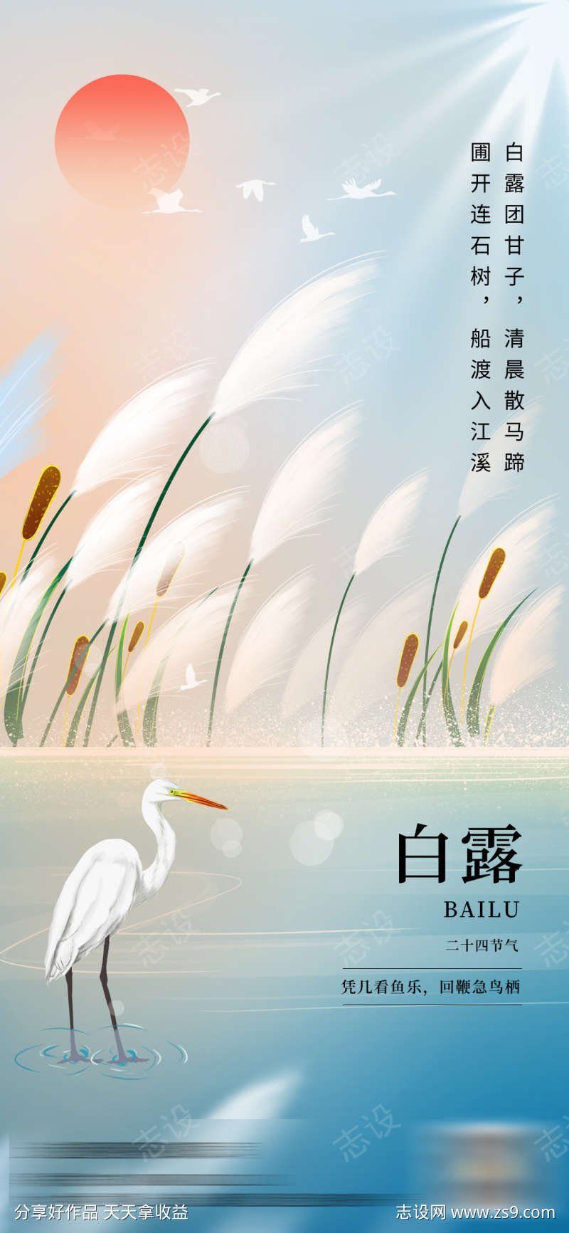 白露节气海报