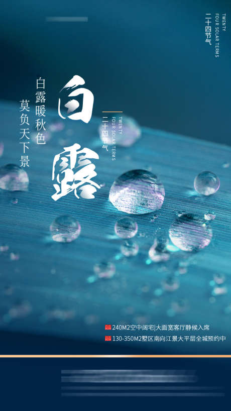 白露节气海报_源文件下载_PSD格式_750X1334像素-节气,水滴,露水,露珠,植物-作品编号:2023081413455008-素材库-www.sucai1.cn