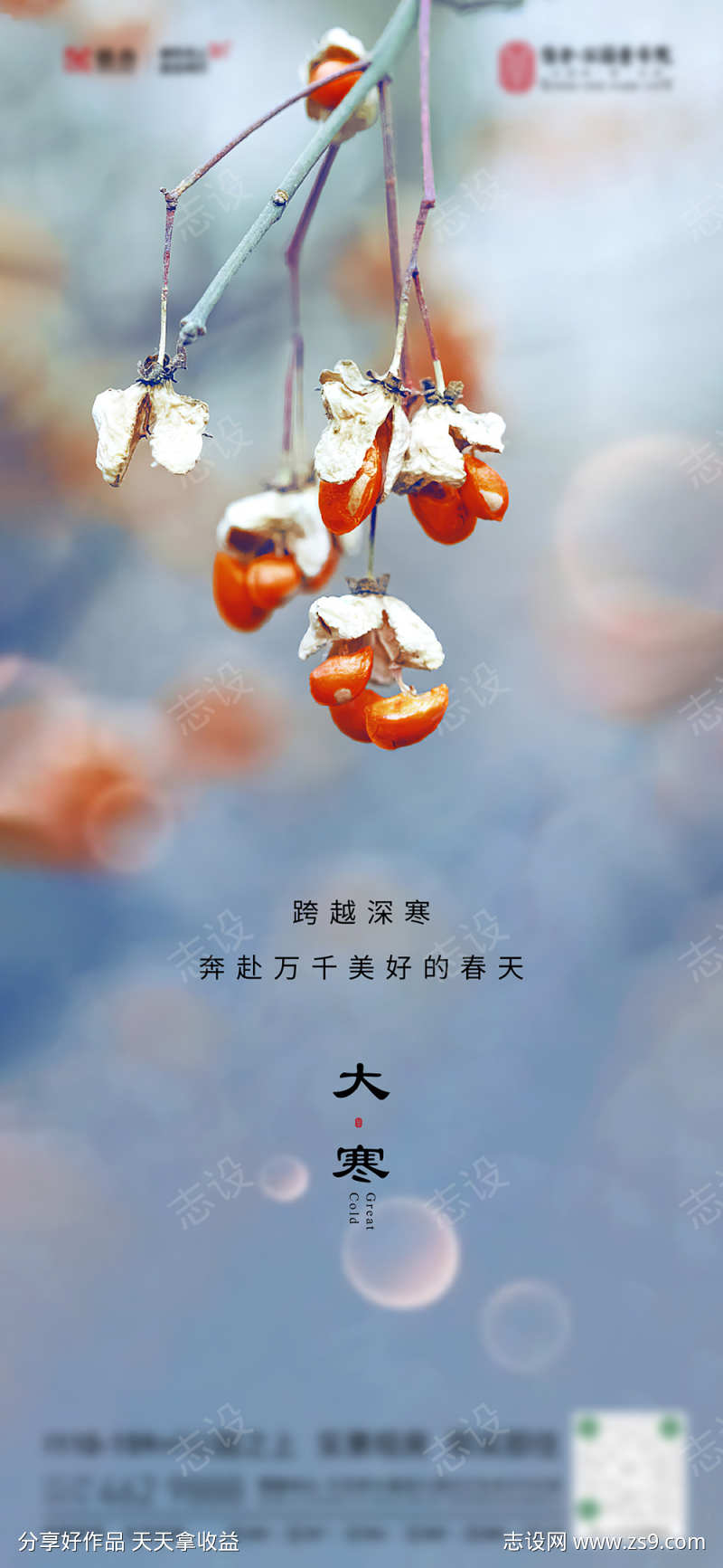 大寒  节气海报  小寒 冬季  柿子 