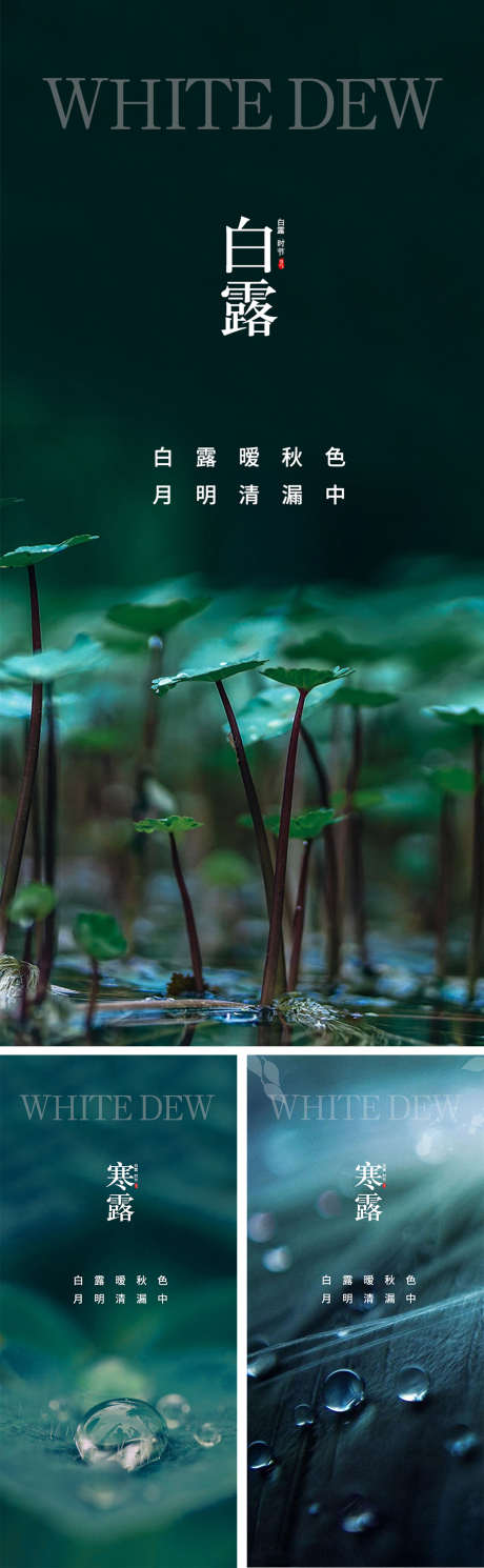 白露寒露节气海报_源文件下载_PSD格式_1080X2340像素-系列,意境,水滴,叶子,简约,露珠,秋天,寒露,白露,二十四节气,房地产,海报-作品编号:2023082818462090-志设-zs9.com