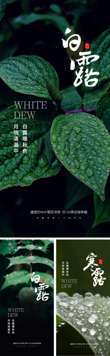 白露寒露节气海报_源文件下载_PSD格式_1080X2340像素-系列,意境,水滴,叶子,简约,露珠,秋天,寒露,白露,二十四节气,房地产,海报-作品编号:2023082819147331-志设-zs9.com