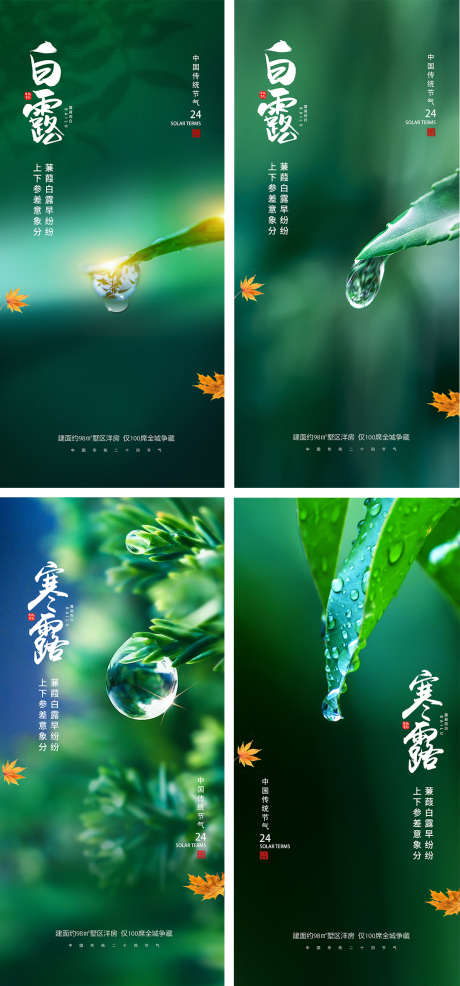 白露寒露节气海报_源文件下载_PSD格式_1080X2340像素-系列,意境,水滴,叶子,简约,枫叶,露珠,秋天,寒露,白露,二十四节气,房地产,海报-作品编号:2023082819155980-志设-zs9.com