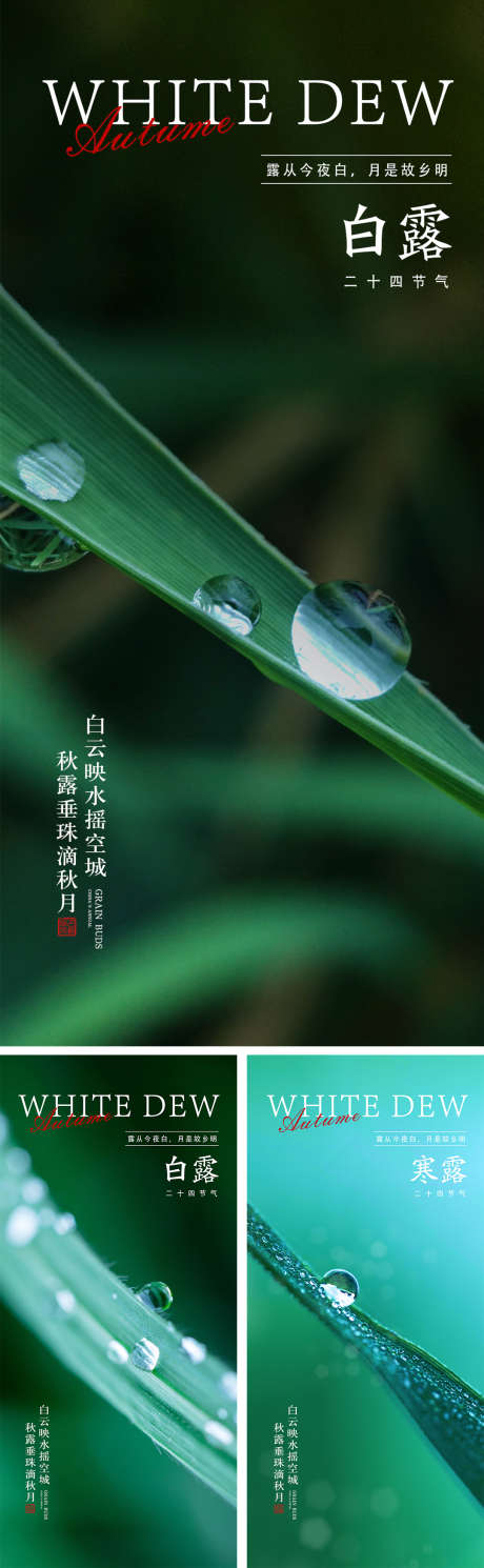 白露寒露节气海报_源文件下载_PSD格式_1080X2340像素-系列,意境,绿色,叶子,水滴,露珠,秋天,寒露,白露,节气,房地产,海报-作品编号:2023090111534026-志设-zs9.com