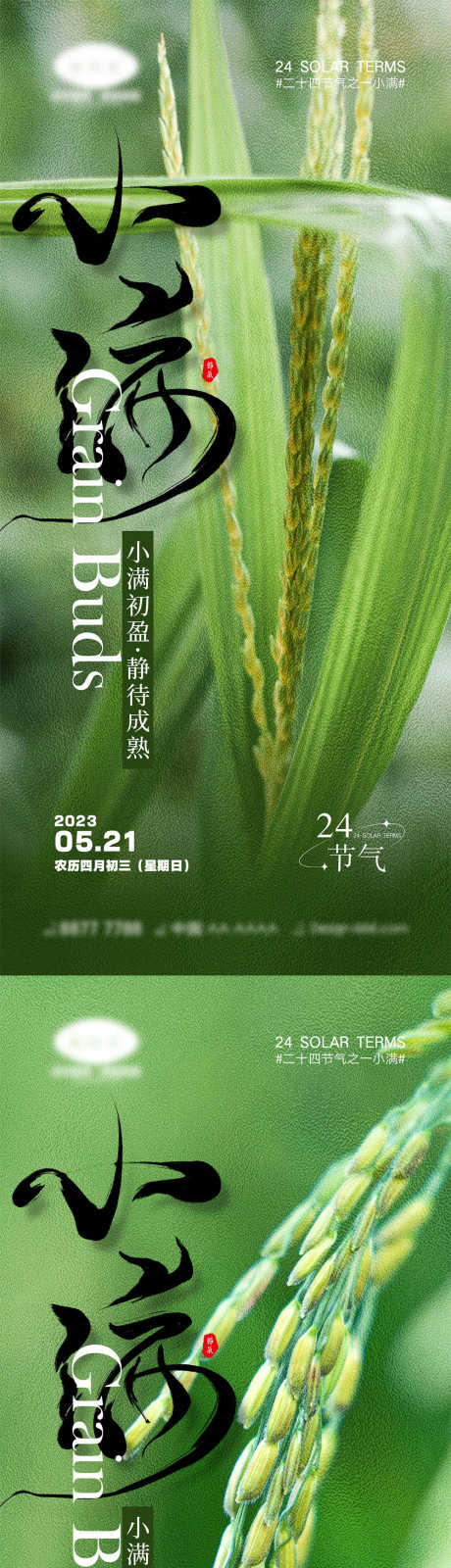 小满节气海报_源文件下载_PSD格式_1000X4328像素-系列,地产,收割,谷物,收获,麦田,劳作,农民,丰收,小麦,芒种,小满,二十四节气,海报-作品编号:2023092315531285-素材库-www.sucai1.cn