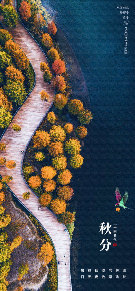 秋分节气海报_源文件下载_PSD格式_1080X2328像素-节气,风景,大气,简洁,鸟,枫叶,海报,秋分-作品编号:2023092310597627-素材库-www.sucai1.cn