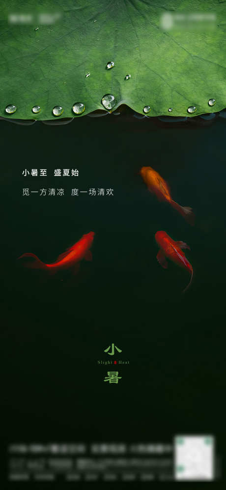 夏至小暑大暑节气海报绿色荷花_源文件下载_1563X3386像素-版式,高端,金鱼,荷叶,荷花,绿色,节气海报,大暑,小暑,夏至-作品编号:2023092821555109-志设-zs9.com