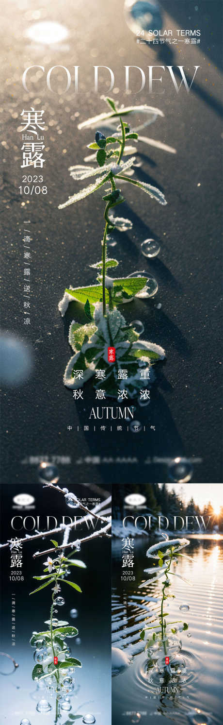 寒露节气海报_源文件下载_PSD格式_1000X3246像素-,雪花,仙鹤,蝉,落叶,房地产,昆虫,银杏,柿子,枫叶,下雪,冬天,,小雪,霜降,寒露,二十四节气-作品编号:2023100716423953-志设-zs9.com