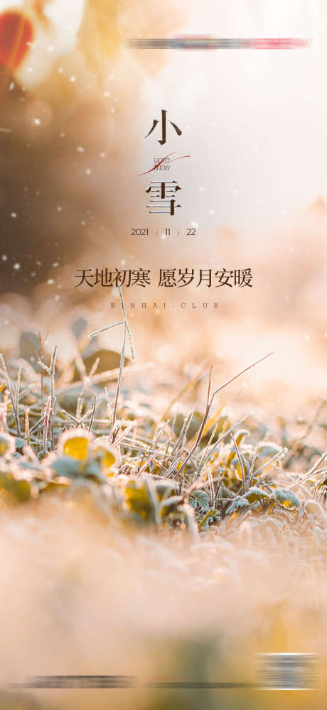 小雪节气海报_源文件下载_PSD格式_1080X2348像素-节气,小雪,小草,植物,二十四节气-作品编号:2023100813557040-志设-zs9.com