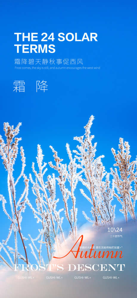 霜降节气海报_源文件下载_PSD格式_1080X2340像素-植物,,,霜花,,霜降,二十四节气,,节气-作品编号:2023100813512273-志设-zs9.com