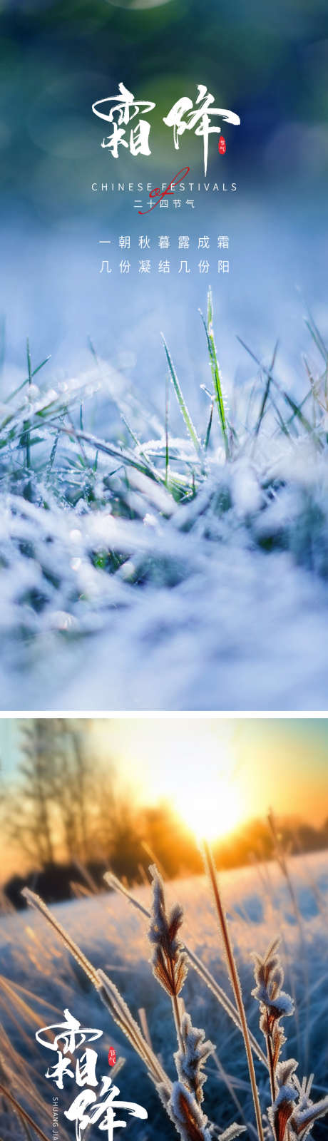 霜降节气海报_源文件下载_PSD格式_1080X2340像素-美景,冬季,二十四节气,节气,,,霜降-作品编号:2023101217056793-素材库-www.sucai1.cn