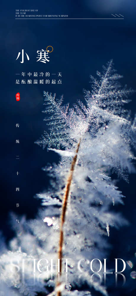 小寒传统节气海报_源文件下载_PSD格式_2162X4702像素-雪花,冬天,自然,海报,节气,小寒,寒冷-作品编号:2023102411305837-志设-zs9.com