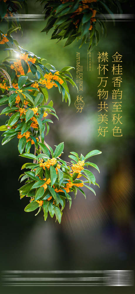 地产立秋秋分桂花海报_源文件下载_PSD格式_1080X2348像素-海报,桂花,秋分,地产,花朵,节气-作品编号:2023102516011973-志设-zs9.com