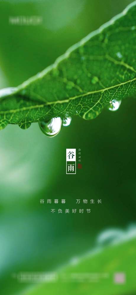 谷雨节气海报_源文件下载_PSD格式_1417X3071像素-,,二十四节气,,,地产,,节气,谷雨,海报-作品编号:2023103011151579-素材库-www.sucai1.cn