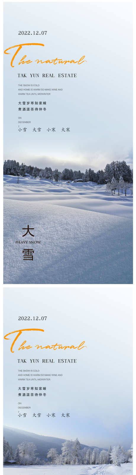 大雪节气海报_源文件下载_PSD格式_1179X4933像素-冰花,寒冷,雪花,雪地,枯树,高山,地产,节气,概念,冬天,冬季,雪景,大雪-作品编号:2023112510427430-素材库-www.sucai1.cn