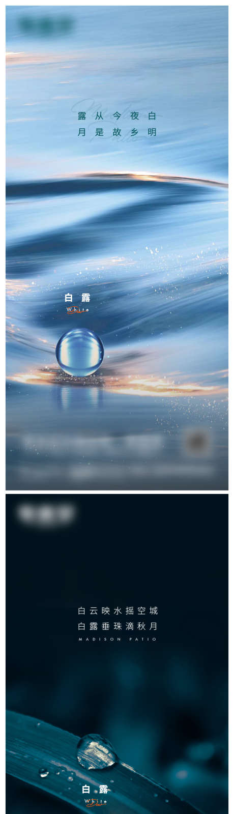 白露微信海报单图_源文件下载_AI格式_875X3694像素-地产,海报,水珠,白露,水滴,节气-作品编号:2023121417055902-志设-zs9.com
