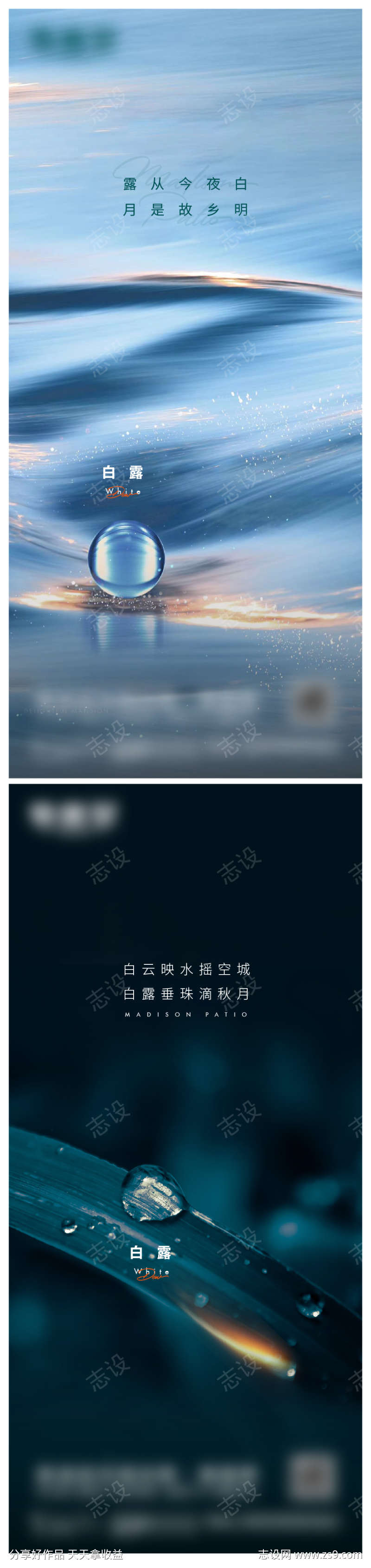 白露微信海报单图