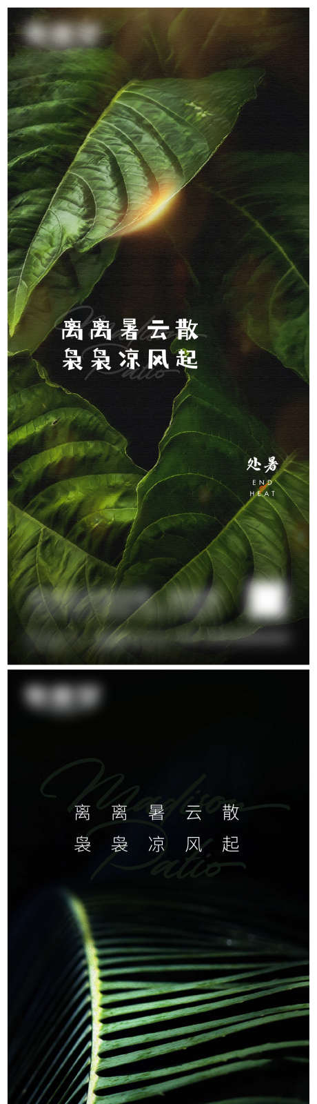 处暑节气微信_源文件下载_AI格式_1167X4925像素-处暑节气,节气,处暑,植物,清新-作品编号:2023122209243477-素材库-www.sucai1.cn