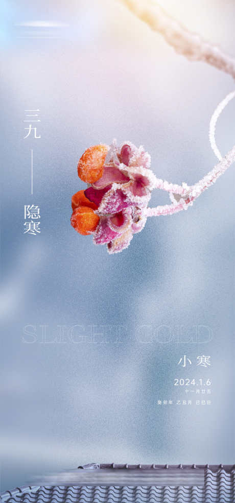 小寒意境海报_源文件下载_AI格式_1334X2856像素-肌理,雪花,树挂,雪景,冬天,,小寒,二十四节气,房地产,海报-作品编号:2023122619151811-志设-zs9.com