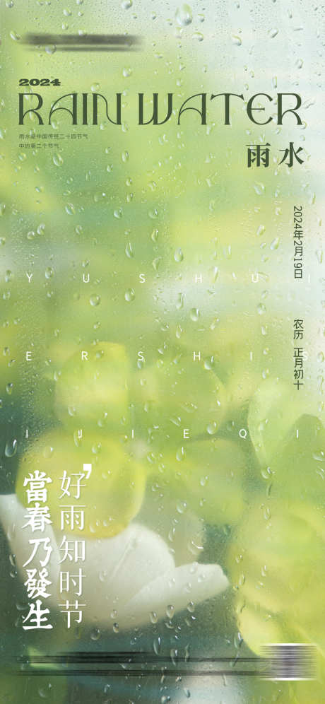 雨水节气海报_源文件下载_PSD格式_1242X2690像素-春天,花朵,雨水,节气,水滴-作品编号:2024021815352903-志设-zs9.com