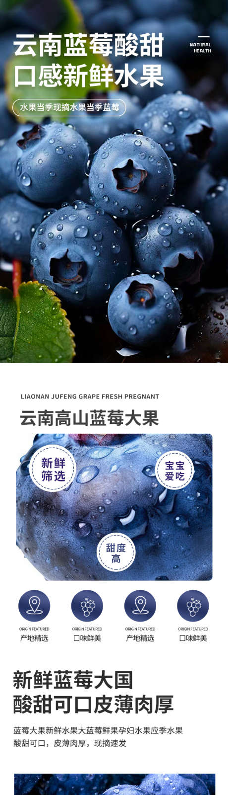 生鲜水果蔬菜蓝莓详情页_源文件下载_PSD格式_790X11084像素-水果干,生鲜,详情页,产地,水果,新鲜,国产,超大果,蓝莓,云南,当季-作品编号:2024021914065680-素材库-www.sucai1.cn