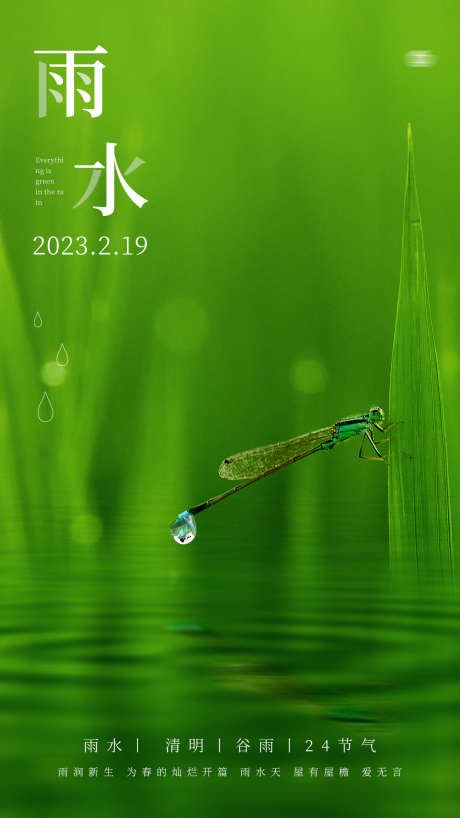 雨水白露竹叶蜻蜓节气海报_源文件下载_PSD格式_1080X1920像素-意境,简约,春天,,,海报,水滴,,白露,雨水-作品编号:2024022009364982-志设-zs9.com