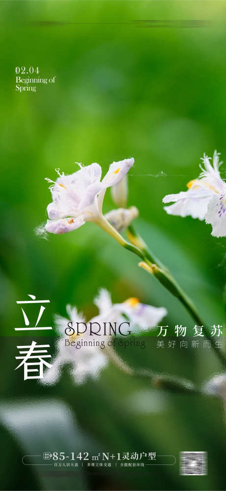 立春节气海报_源文件下载_CDR格式_1768X3840像素-立春节气海报,春分,立春,立春海报,二十四节气-作品编号:2024022010172484-素材库-www.sucai1.cn