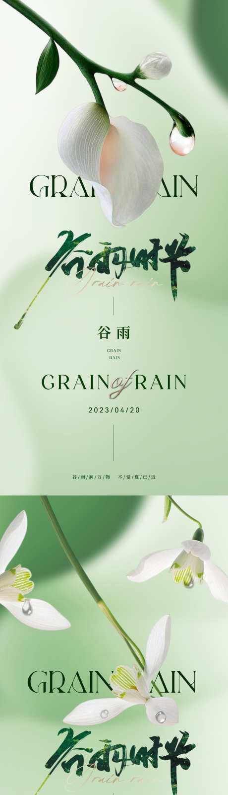 地产医美美业谷雨节气海报_源文件下载_1501X6513像素-高雅,奢华,轻奢,品质,朦胧,弥散,清新,唯美,质感,高级,雨滴,水滴,插花,花,花卉,海报,节气,谷雨,美业,医美,地产-作品编号:2024032311171948-素材库-www.sucai1.cn