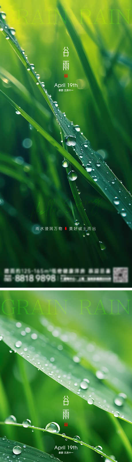 谷雨节气海报_源文件下载_2000X8701像素-草叶,下雨,雨天,雨滴,春季,春天,地产海报,节气,谷雨-作品编号:2024040819246455-素材库-www.sucai1.cn